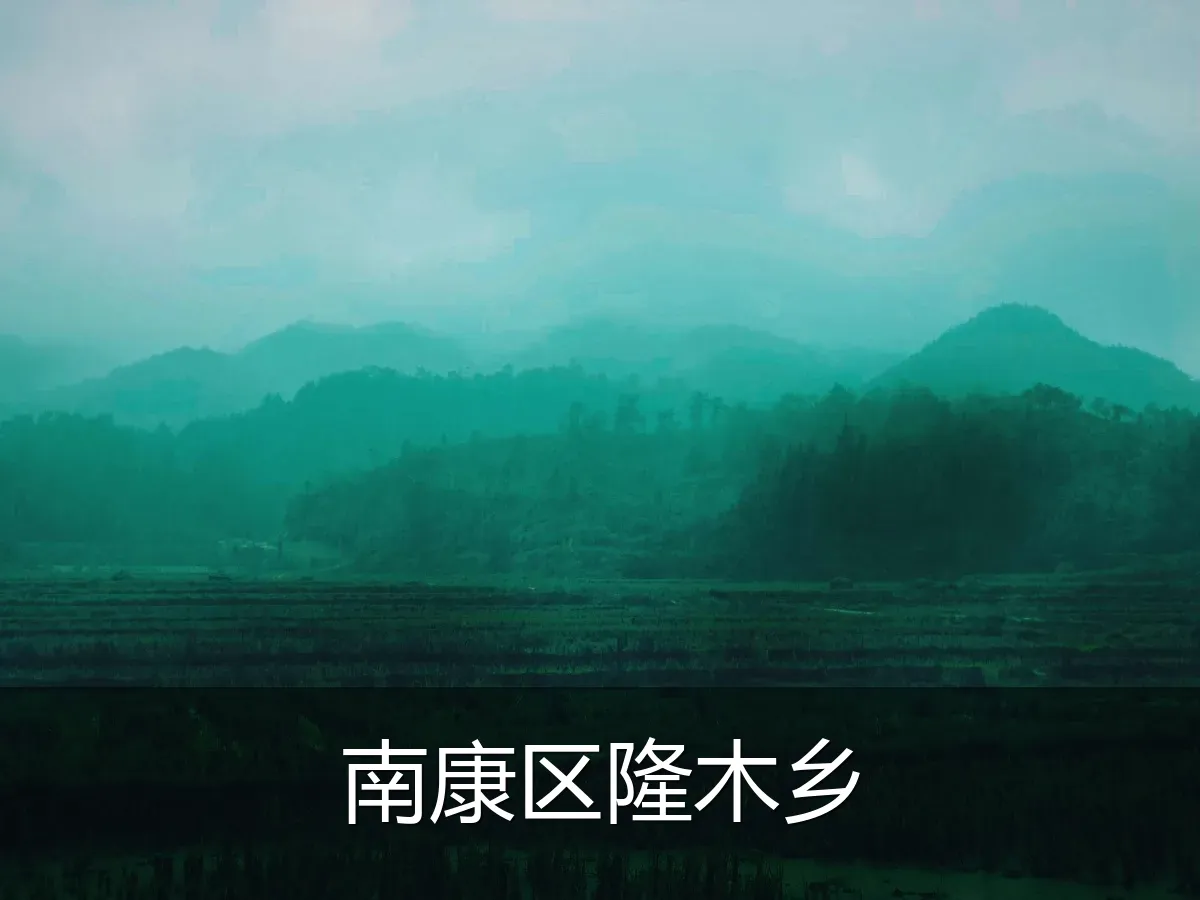 南康区隆木乡