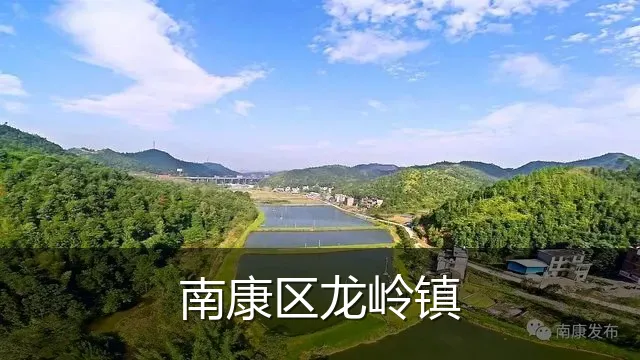 南康区龙岭镇